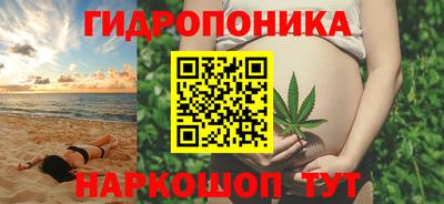 ECSTASY Кингисепп