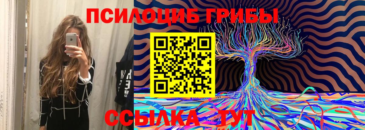 Галлюциногенные грибы Psilocybe  Вход с VPN  Краснокаменск 